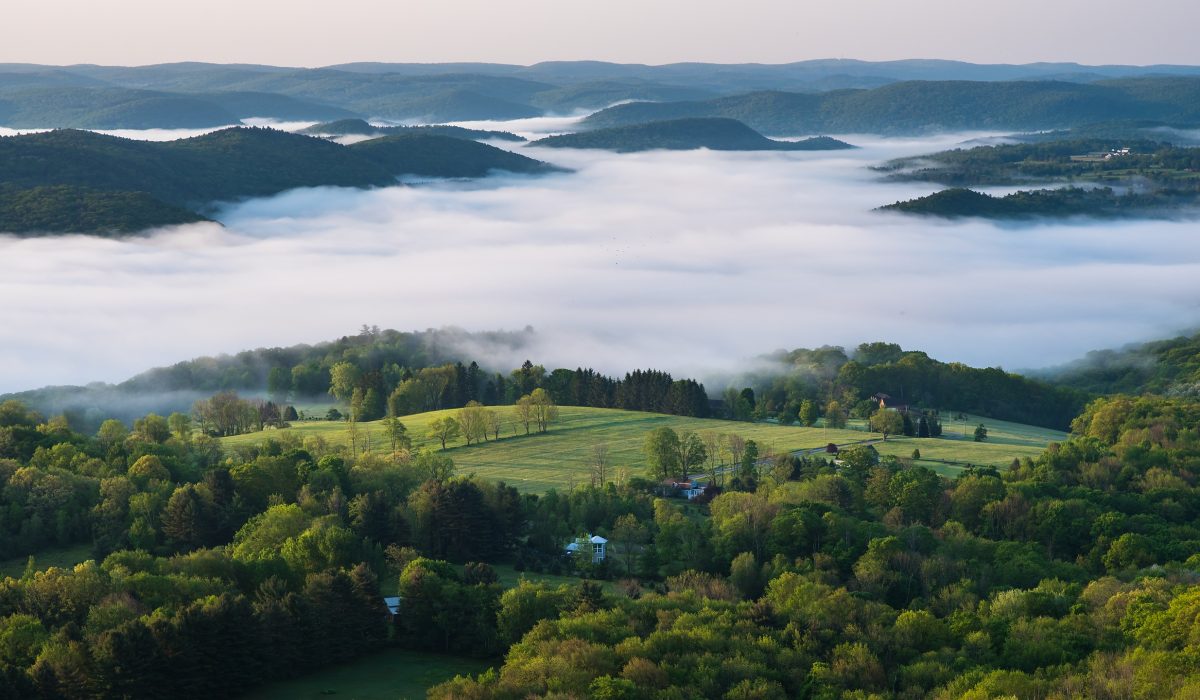 Vegane Hotels in Connecticut: Die besten veganfreundlichen Unterkünfte