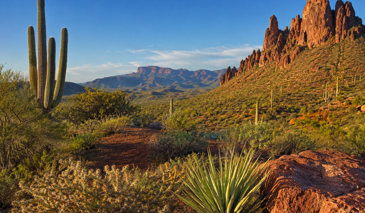 Vegane Hotels in Arizona: Die besten veganfreundlichen Unterkünfte