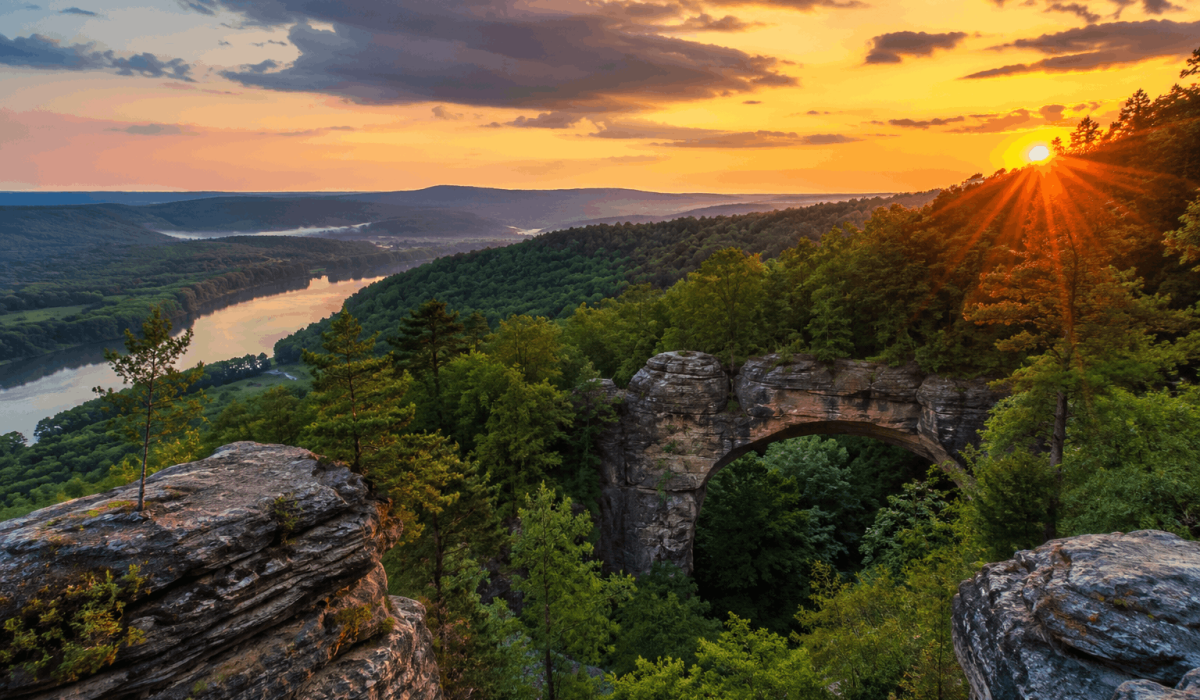 Vegane Hotels in Kentucky: Die besten veganfreundlichen Unterkünfte