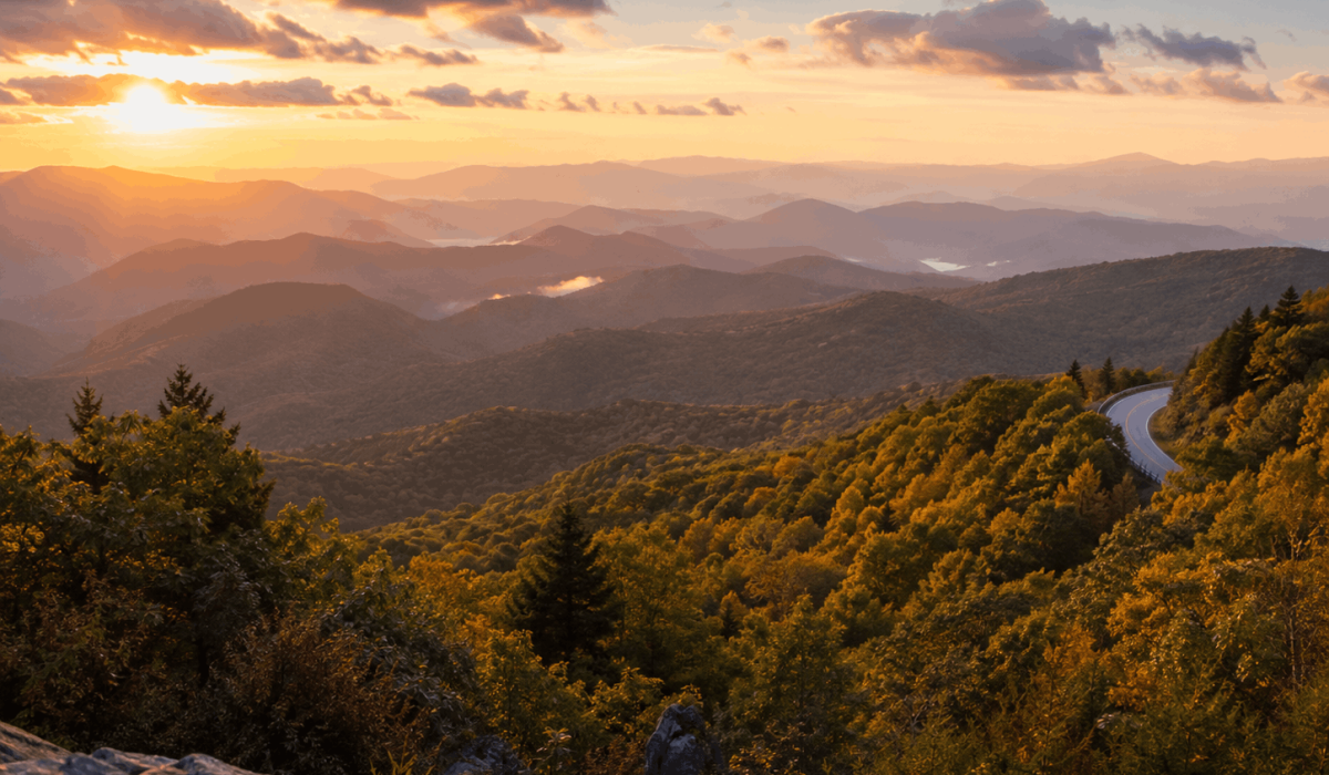 Vegane Hotels in North Carolina: Die besten veganfreundlichen Unterkünfte