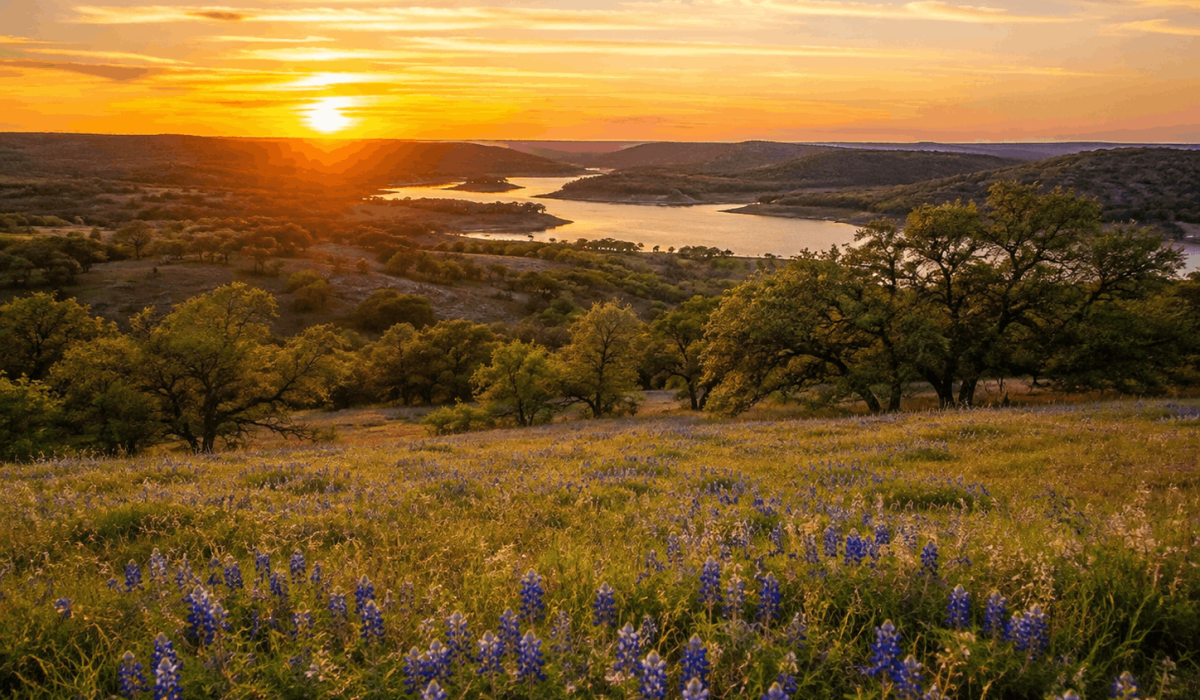 Vegane Hotels in Texas: Die besten veganfreundlichen Unterkünfte