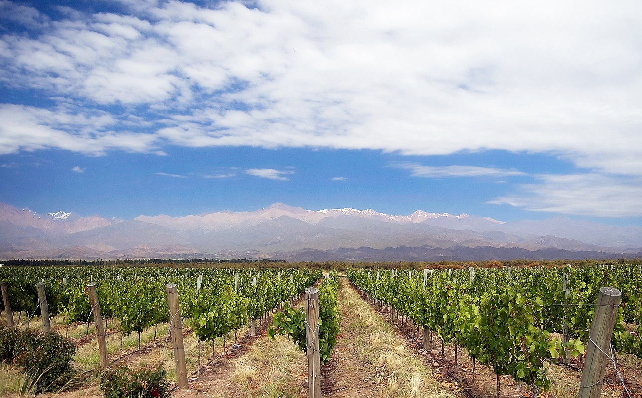 Vegane Hotels in Mendoza: 3 Unterkünfte im Weinland