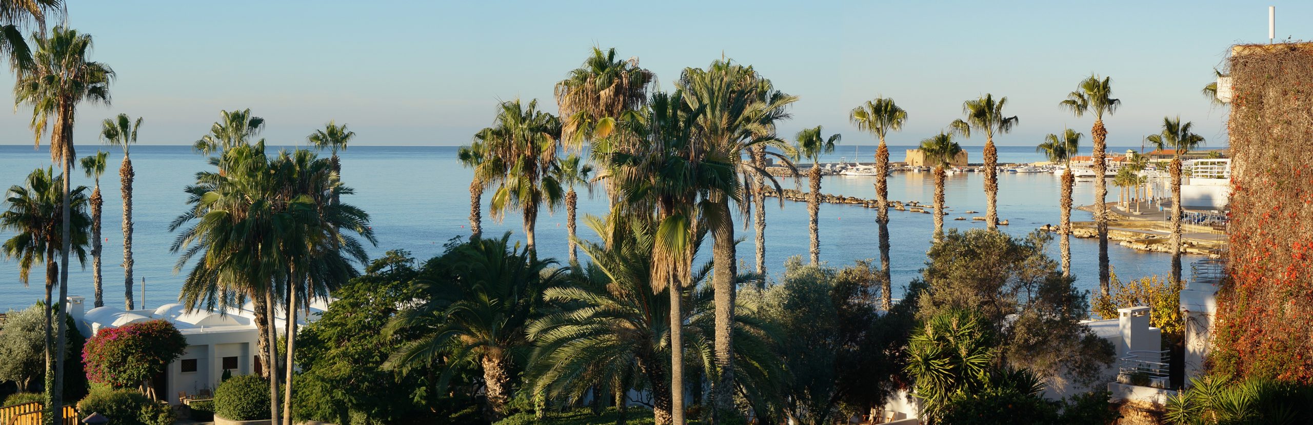 Vegane Hotels in Paphos: 3 Unterkünfte am Meer