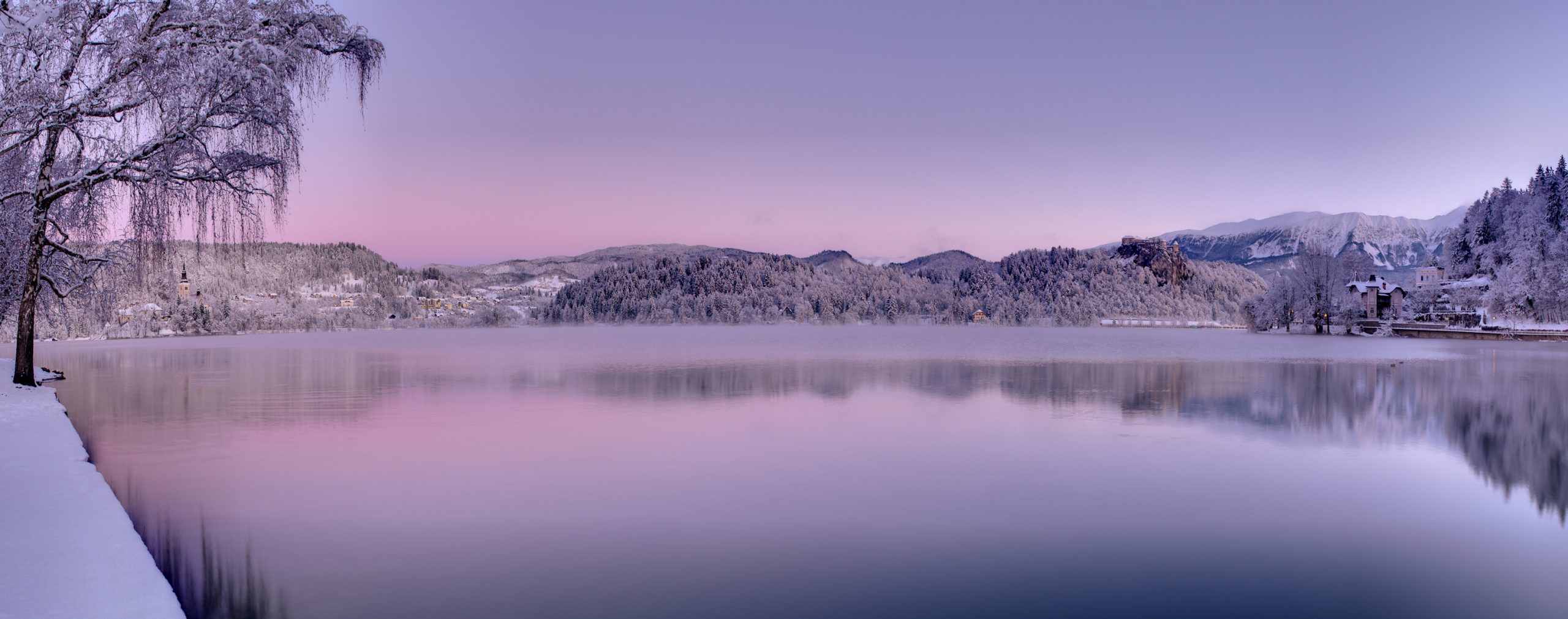 Winterlicher Bleder See in Slowenien mit verschneiten Bäumen und rosafarbenem Morgenlicht