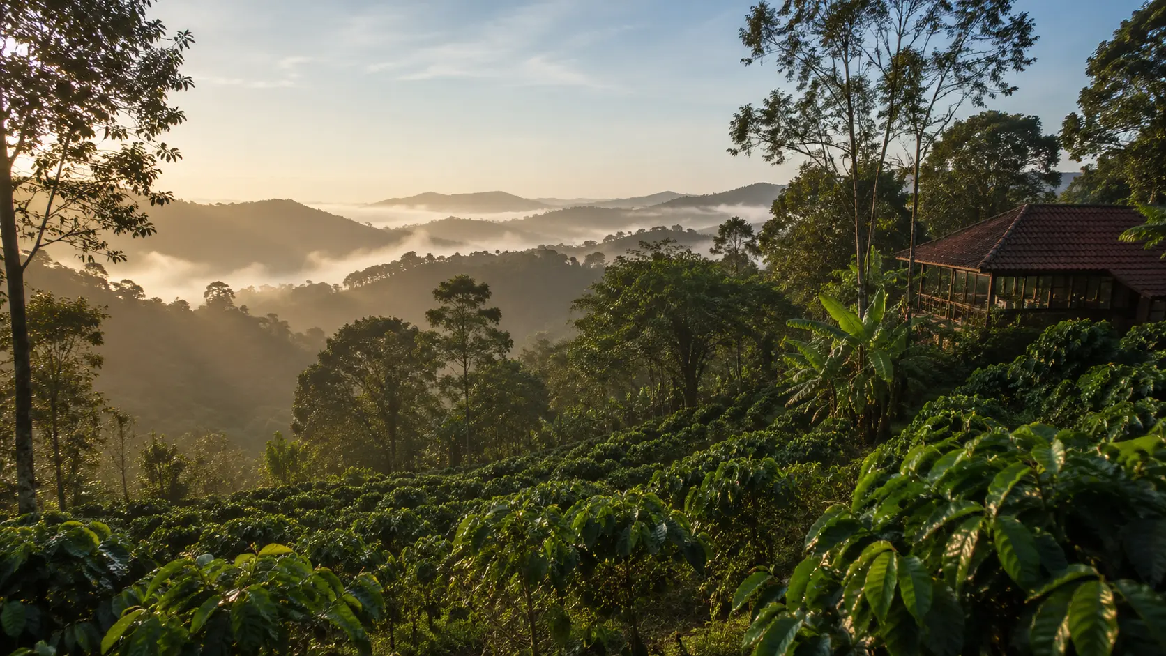 Veganfreundliche Resorts in Coorg/Kodagu: 4 geprüfte Tipps
